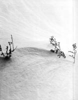 1978-Prelude-004